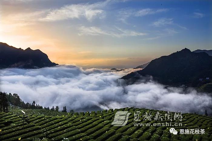 1598513178720.jpg 1.jpg