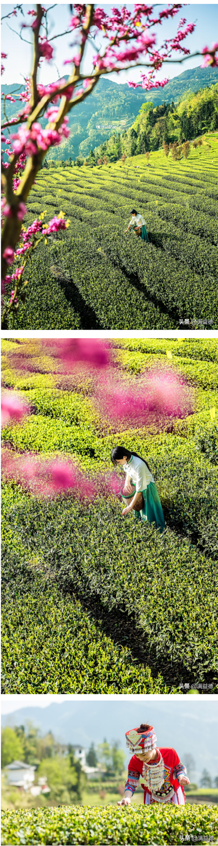 1619057468410.png 1).png