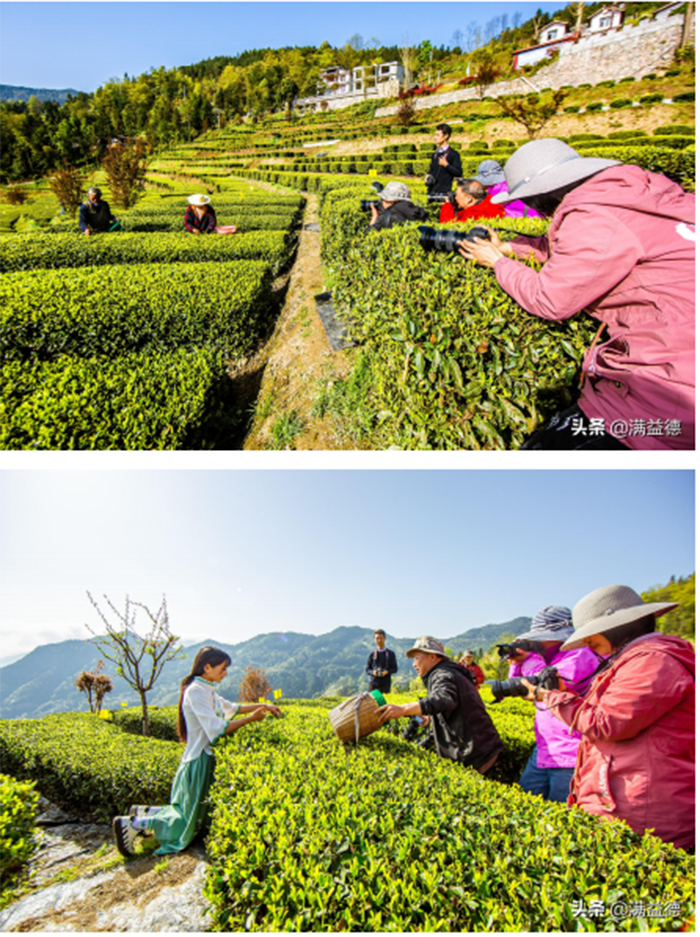 1619057575478.png 1).png