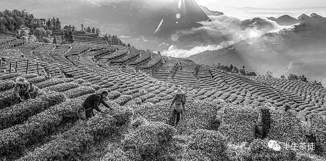 1669603808562.jpg 2.jpg