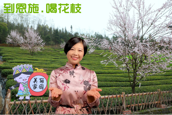 1761537339147.jpg 1761537339147.jpg